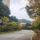 광교더포레스트탑공인중개사사무소 이미지