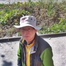 강서초교 이미지