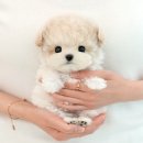 청도메디컬 이미지