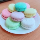 보나미(BON AMI) 이미지