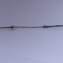 두리피싱에서 파는 라인 사지마셈 이미지