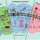 온누리약국 이미지