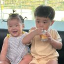 보건당구장 | 인천 서구보건소 영양플러스 접수 후기