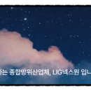 (주)엘아이지시스템