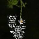 예수소망교회쉼터