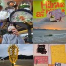 사하구 낙동남로1233번길 | 낭만(...)찾아 부산여행 1일차 : 부산현대미술관, 다대포바다미술제, 심야책방