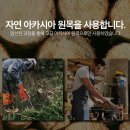 한국퍼니처