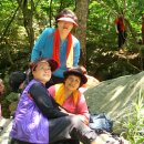 사나사주차장 이미지