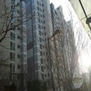 강남-201 이미지