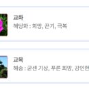 (학교)강릉오성학교 이미지