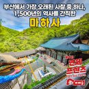 범어사 성보박물관(성보관) | 부산의 가장 오래된 사찰 중 하나, 1,500년의 역사를 간직한 마하사