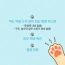 이을동물병원 이미지