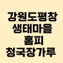 평창 생태마을 홈피 예약방법