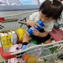 뭉치네 민박 이미지