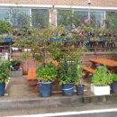 탁씨네민박 이미지