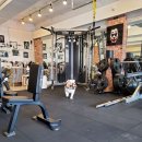 코카머슬로즈PT 이미지