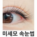 서울 공덕 마포 지하철 1분거리 | 미세모 속눈썹 연장 리얼후기모음.ZIP 《디엘르》