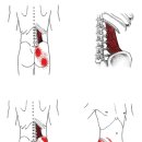 CM Fitness 이미지