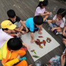 숲아이유치원 이미지