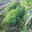 세심농장 이미지