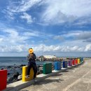 동일하모로 | [제주도 여행] 251025_2일차 : 제주돌고래힐링투어, 화순한가네식당, 부젤라또, 커피스케치, 카멜리아힐...