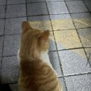이어서 올리는 싱그러운 5월 셋째 주