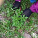 선학초등학교 이미지