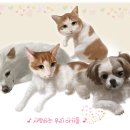 원츄 이미지