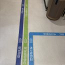 강동센터약국 | 강동구건강검진센터에서 시간아껴서 받고 온 후기