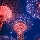 자유슈퍼 | 싱가포르 자유여행 가든스바이더베이 슈퍼트리쇼 시간 야경