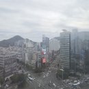 대화메디컬약국 이미지