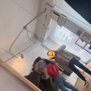 마인드멜드