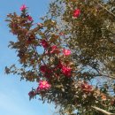 향교게이트볼장 이미지