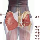 PT STUDIO THE 진심 이미지