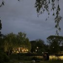 일진5농장 | 5월 일상 ➋ | 한밭수목원, 엑스포과학공원, 희망농구, 성수 미쁘동, 무도런, 떠망고, 떡볶이농장