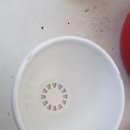 이루리농장 이미지