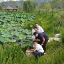 생태연못 이미지