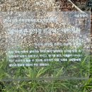 바늘정원 이미지