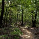 구름정원 이미지