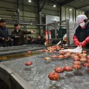 예산농산물유통센터 이미지