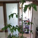 서율이네 이미지