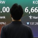 예·적금 깨고 주식·ETF로…1인 가구 '머니무브' 가속 페달 이미지