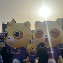 탄천종합운동장 주경기장 트랙 | FC안양 vs FC서울 K리그1 직관 후기, 최초 전석 매진 역사의 현장, 2025.05.06 안양종합운동장