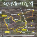 서천 이종선효자비 이미지