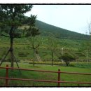 오도한방찜질방 이미지