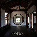 스테이안 이미지