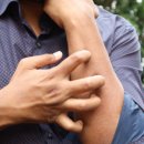 휴베이스효천약국 이미지