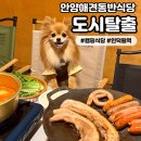 관양두산벤처다임 | [도시탈출] 안양애견동반식당 서울 근교 당일치기 캠핑 식당 인덕원역 맛집 고기집