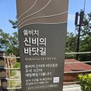 소삼도
