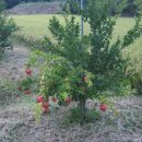 범은농장 이미지